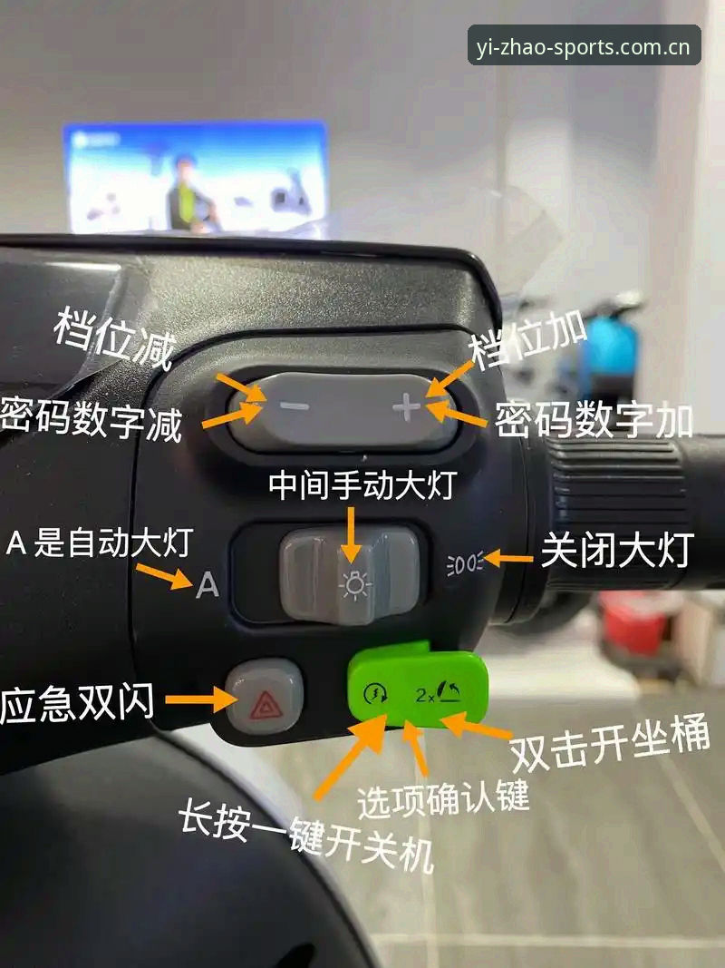 YZSPORT平台功能详解与实用指南